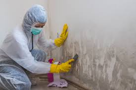 Best Residential Mold Inspection & Testing  in Lexington, NE